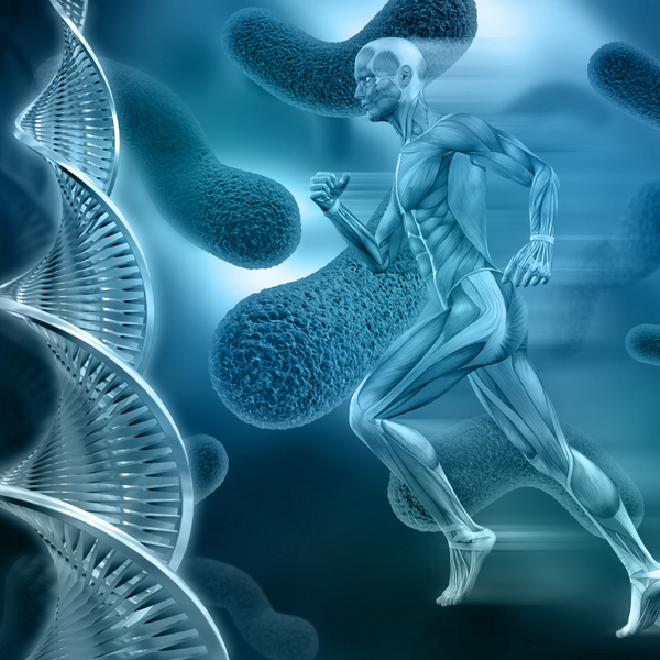 basal metabolic rate
