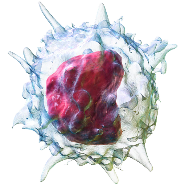 ferroptosis