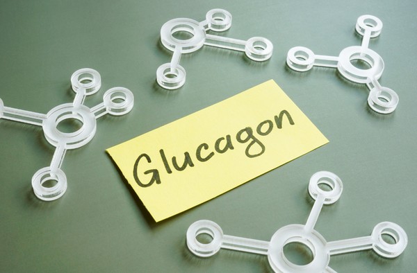 glucagon