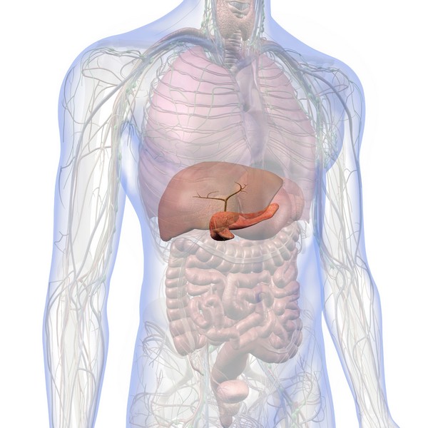 Non-Alcoholic Fatty Liver Disease