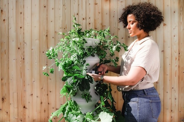 7 Physical Benefits of Gardening: Green Thumb, Healthy Heart