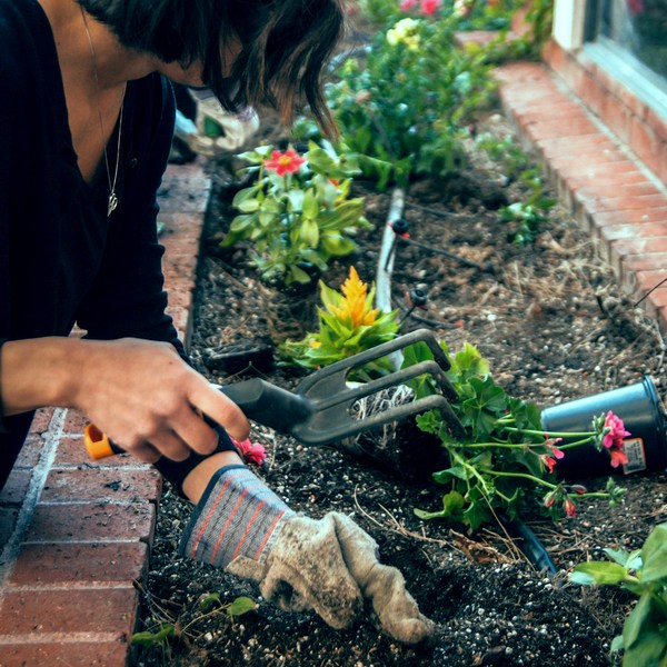 Physical Benefits of Gardening