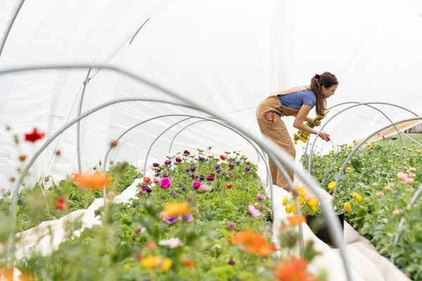 7 Physical Benefits of Gardening: Green Thumb, Healthy Heart