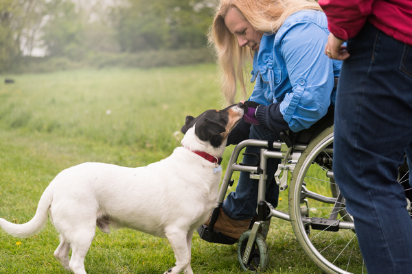 Paws and Reflect: The Healing Power of Pet Companionship