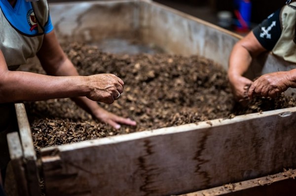 Quick Start Guide to Composting: Turning Waste into Gold