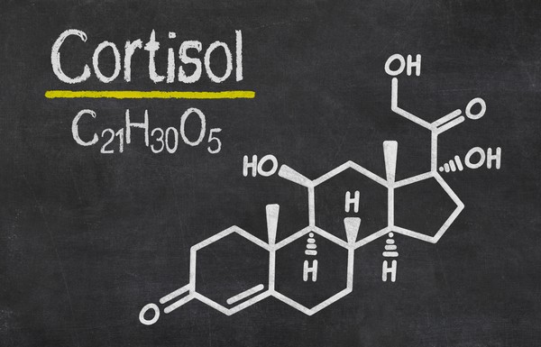 7 Key Hormones for Fat Burning