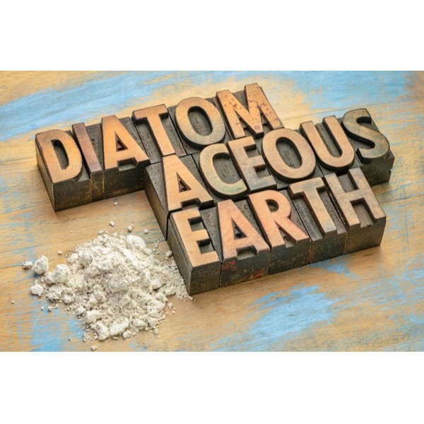 diatomaceous earth