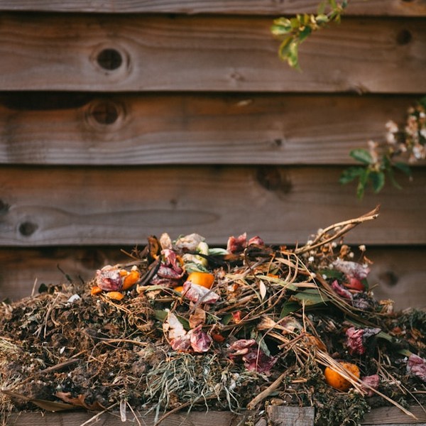 Quick Start Guide to Composting: Turning Waste into Gold