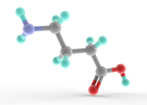 GABA (gamma-aminobutyric acid)