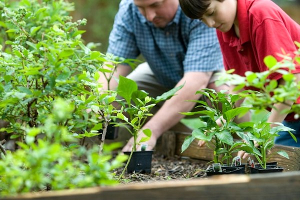 man and boy gardening