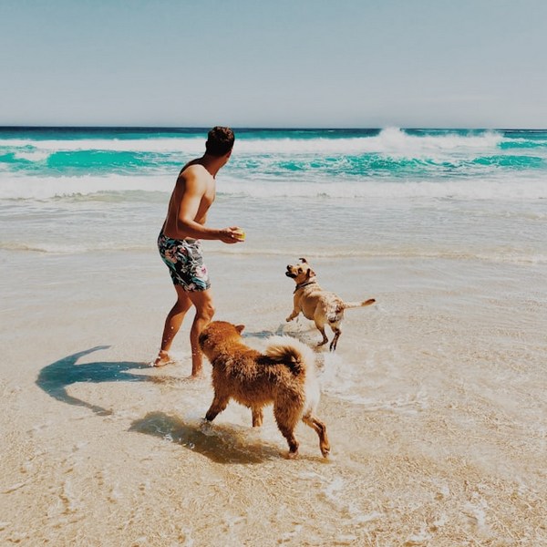 a man playing with dogs on a beach