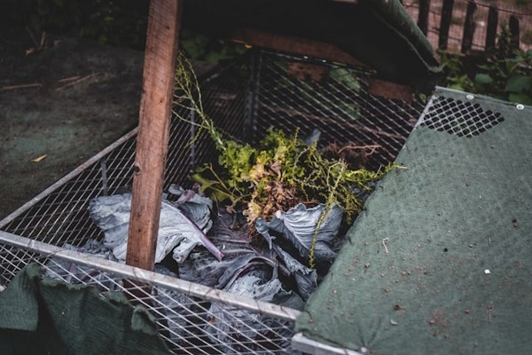 Quick Start Guide to Composting: Turning Waste into Gold