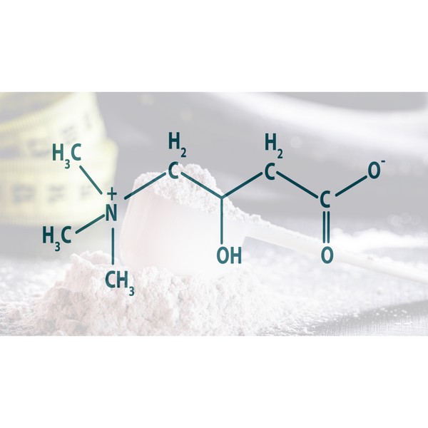 l-carnitine