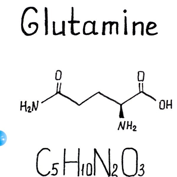 L-Glutamine and Gut Health: Benefits and Side Effects