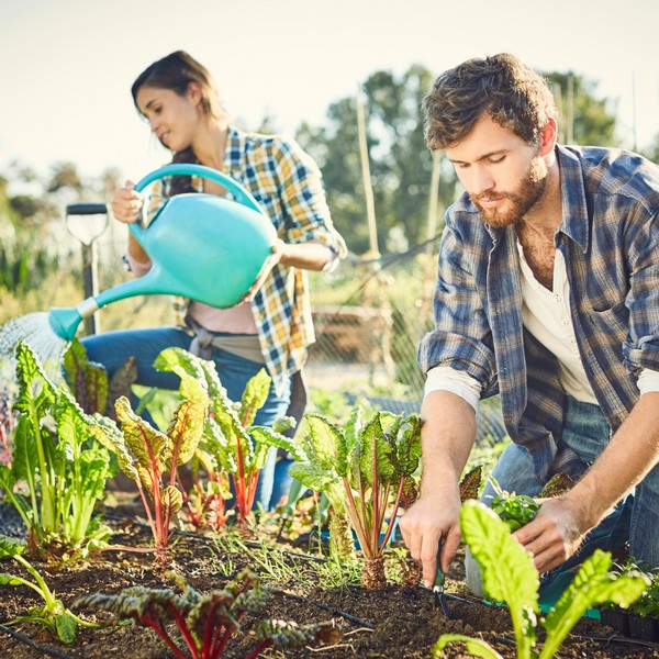 organic gardening