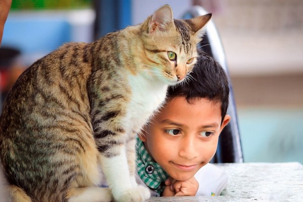 a cat sitting on a boy's head