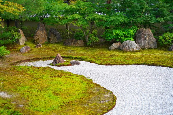 Xeriscaping 101: Easy Steps for Beginners